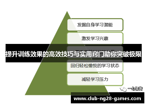提升训练效果的高效技巧与实用窍门助你突破极限